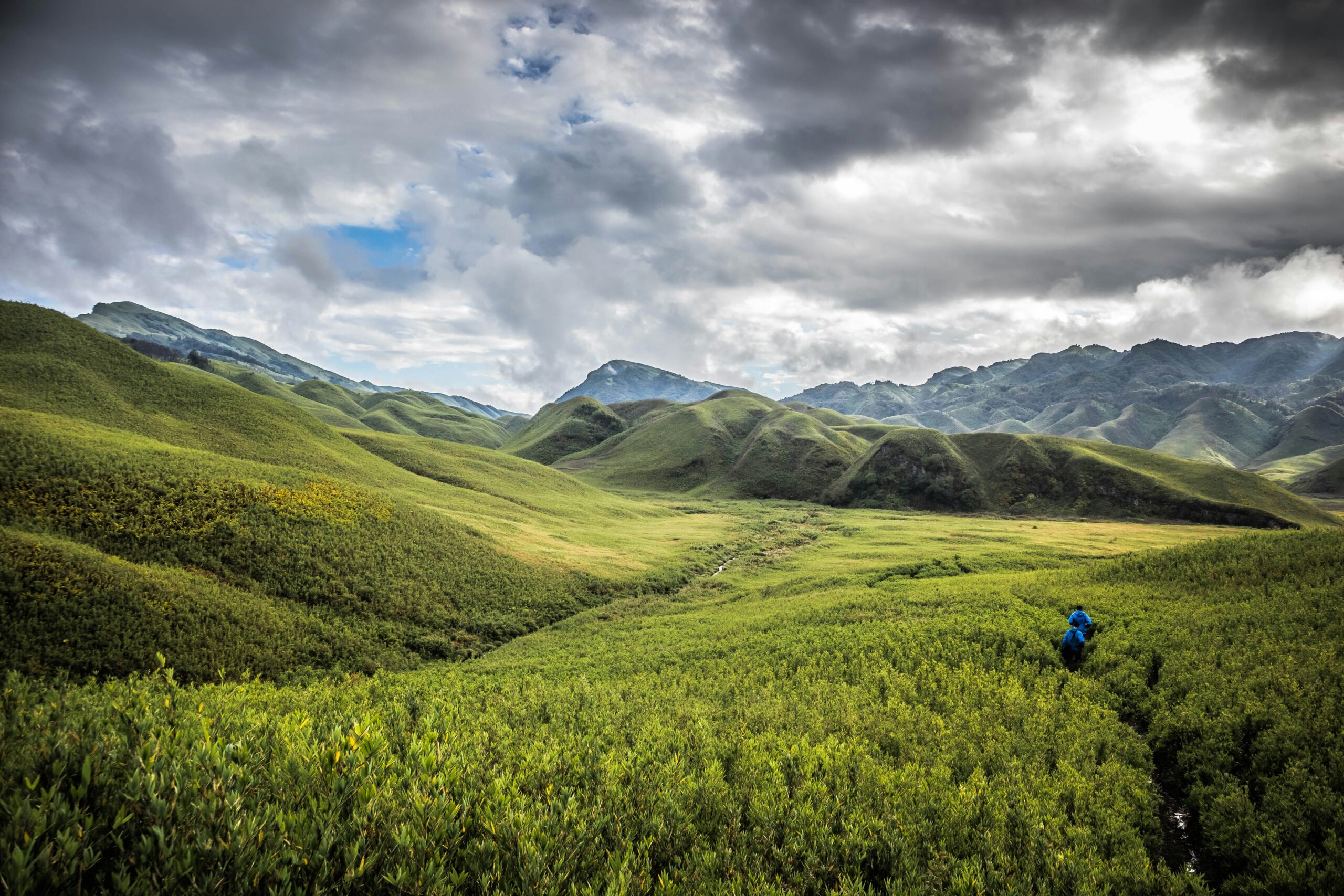 Dzukou Valley, Arunachal Pradesh